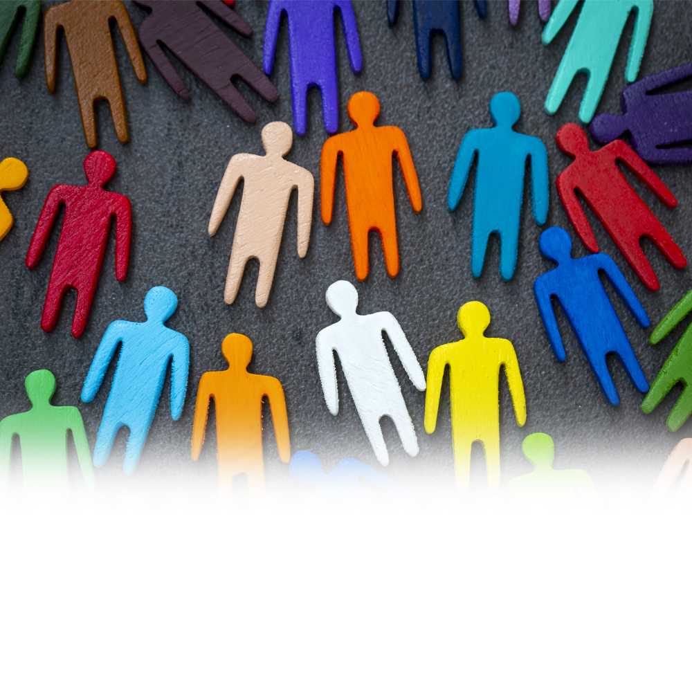 Equality And Diversity Equality And Diversity